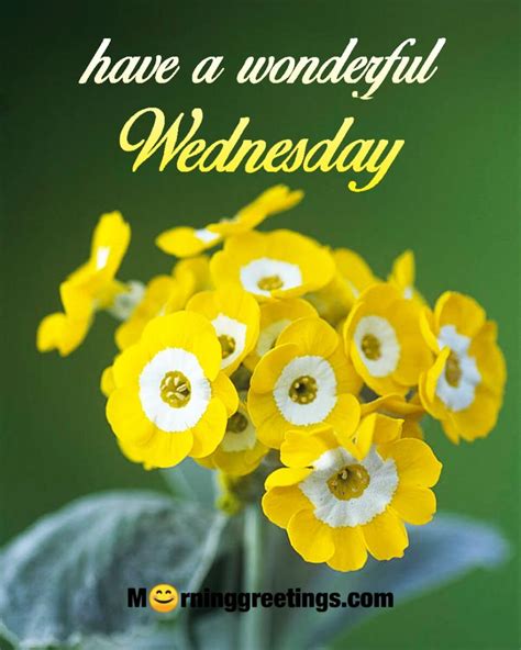 greetings for wednesday